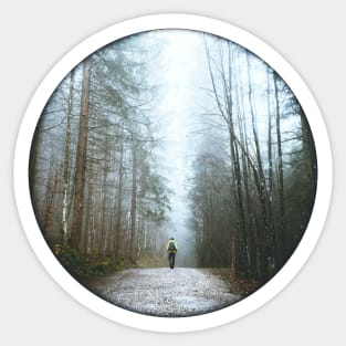 A Walk Through The Woods Sticker